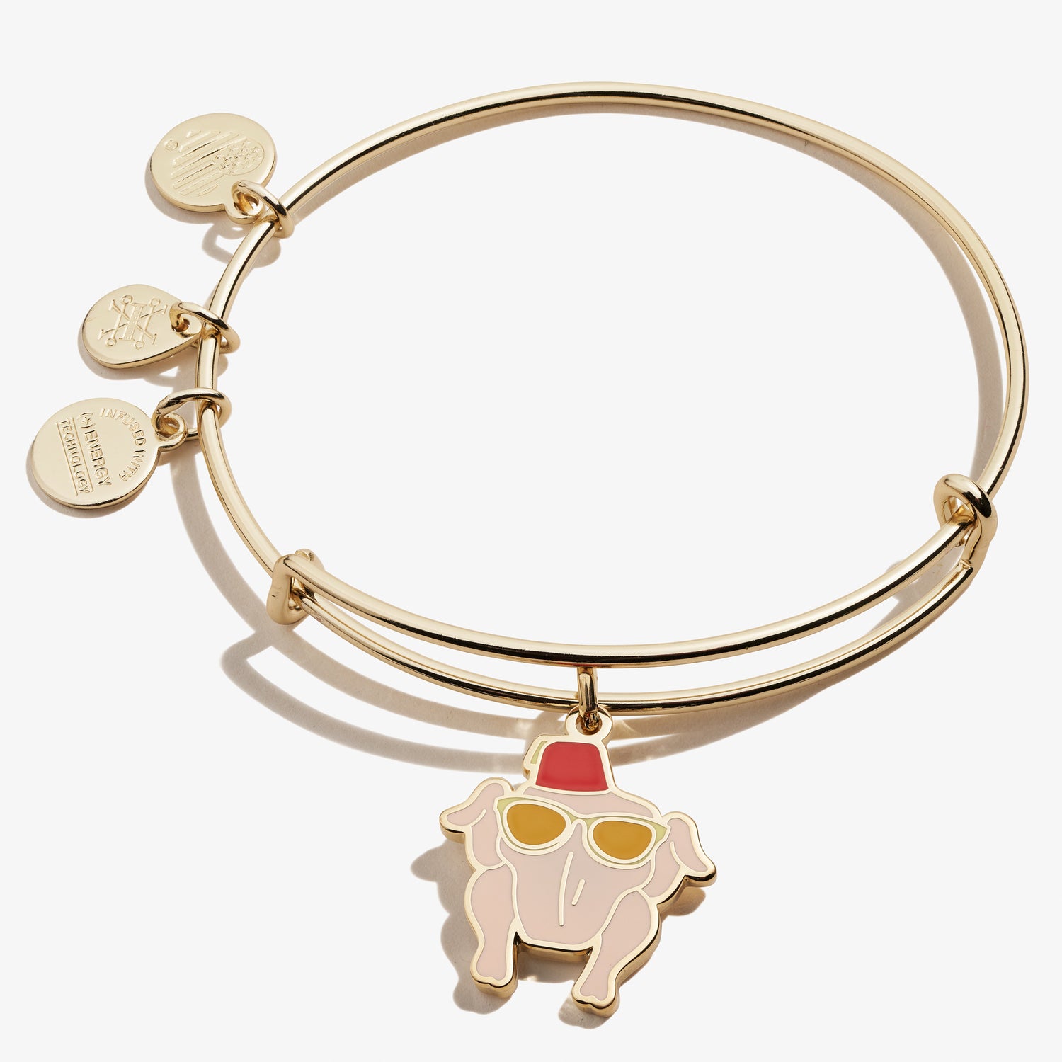 Friends Thanksgiving Turkey Charm Bangle