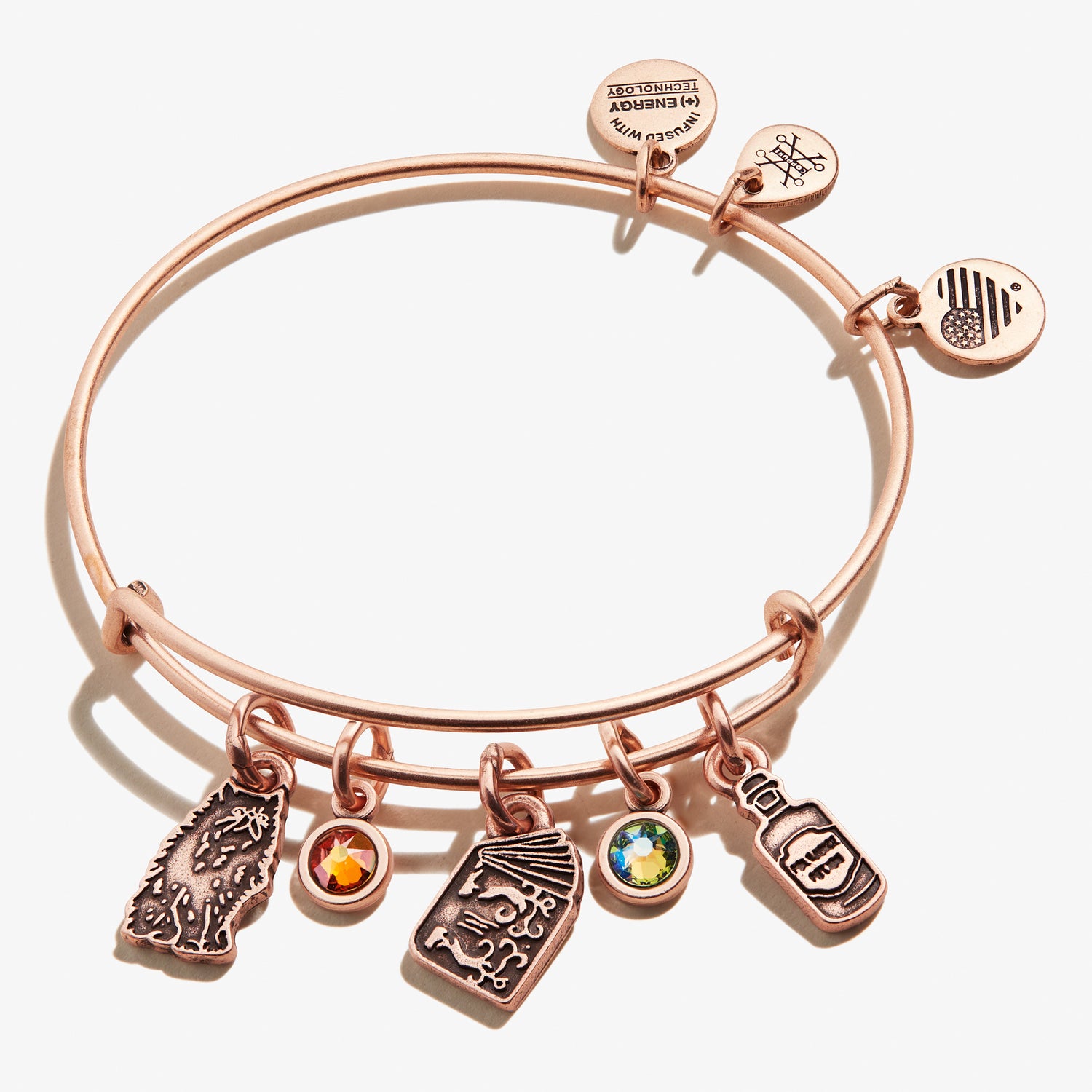 Harry Potter™ Hermione Multi-Charm Bangle